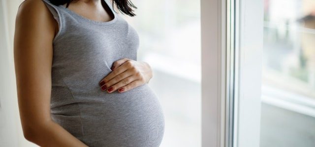 hamileleikte bebek gelişimi
