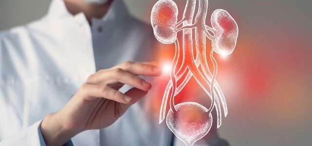 kısırlık infertilite